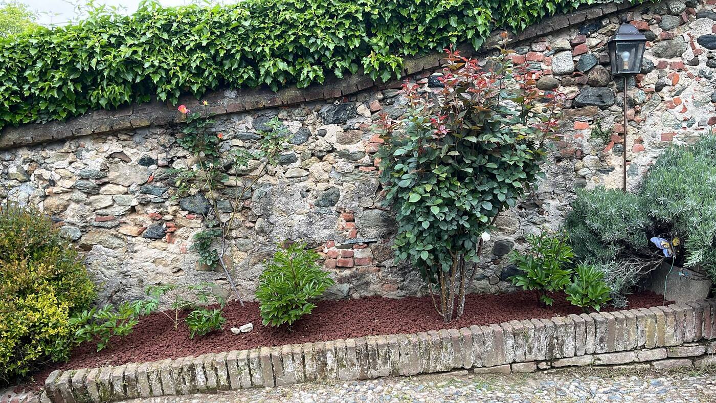Muro in pietra con siepe e piante fiorite