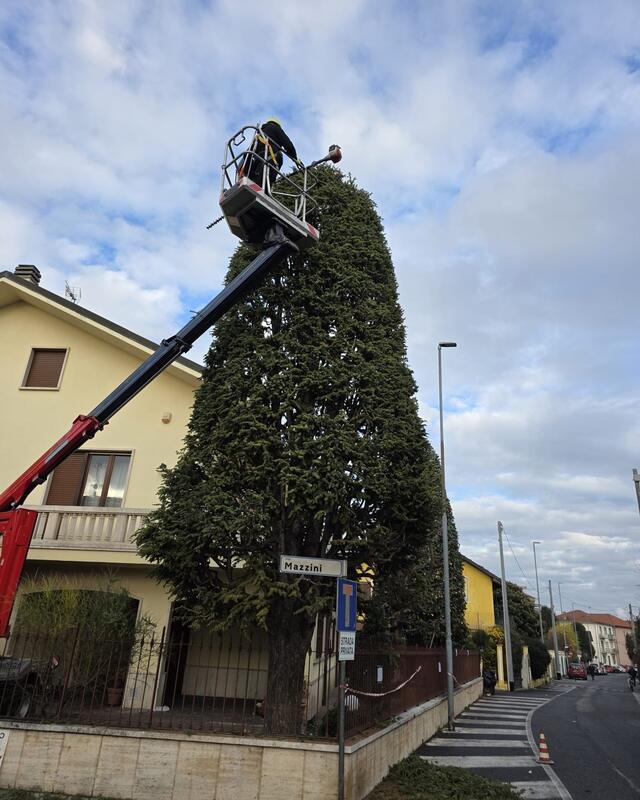 Post Instagram: la piattaforma aerea al lavoro in cima alla magnolia