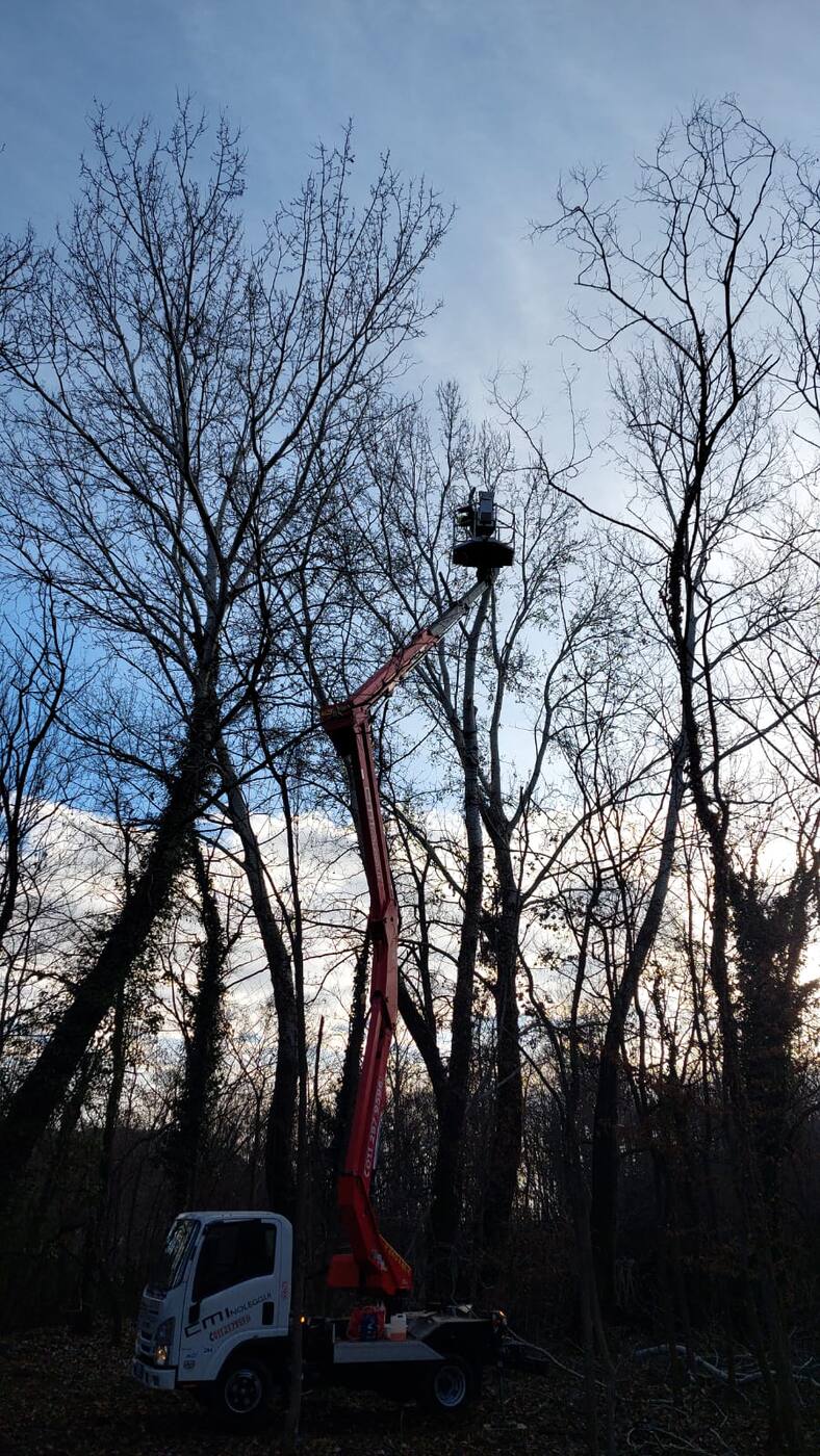 Potatura invernale con piattaforma aerea