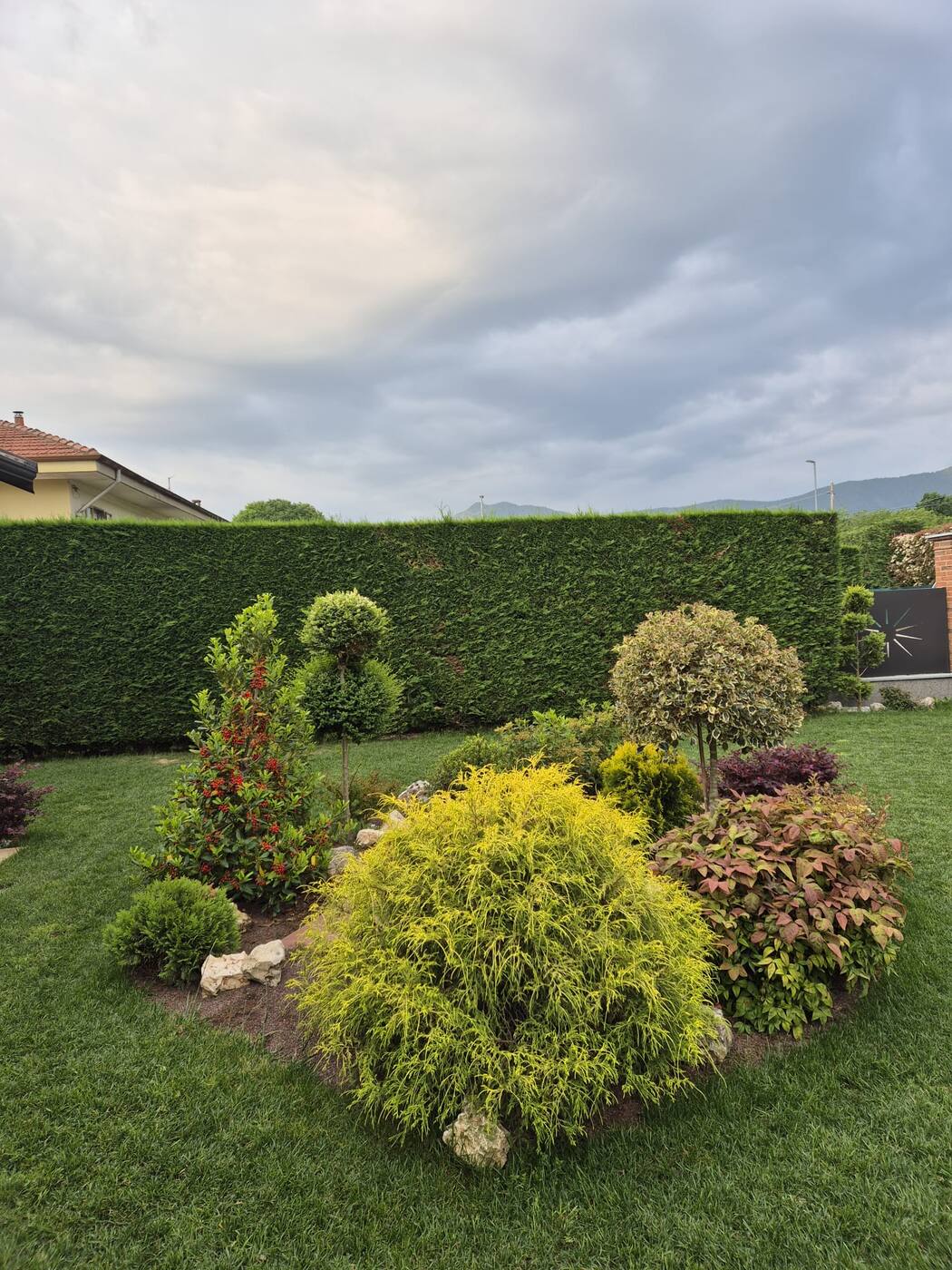 Giardino con arbusti potati a sfera