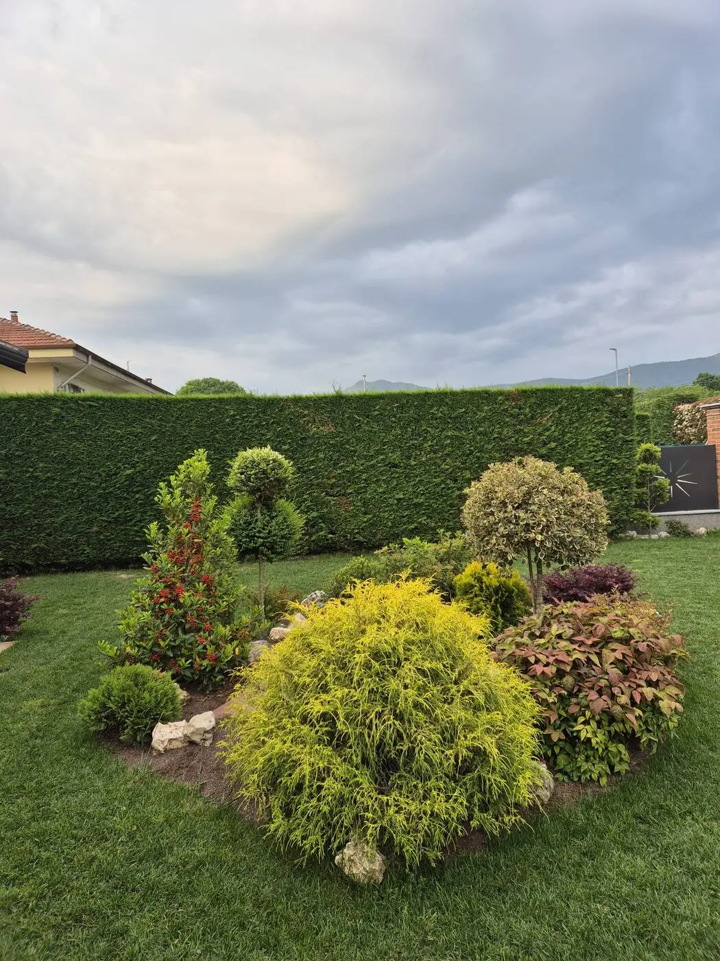 Giardino curato con prato rasato, siepe e arbusti potati a sfera